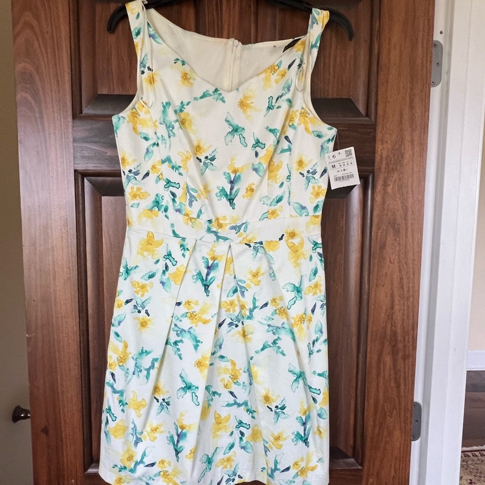 Zara dress